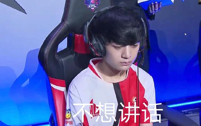 导向意